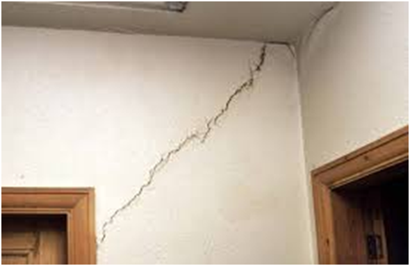 Why Do Tree Roots Cause Subsidence?